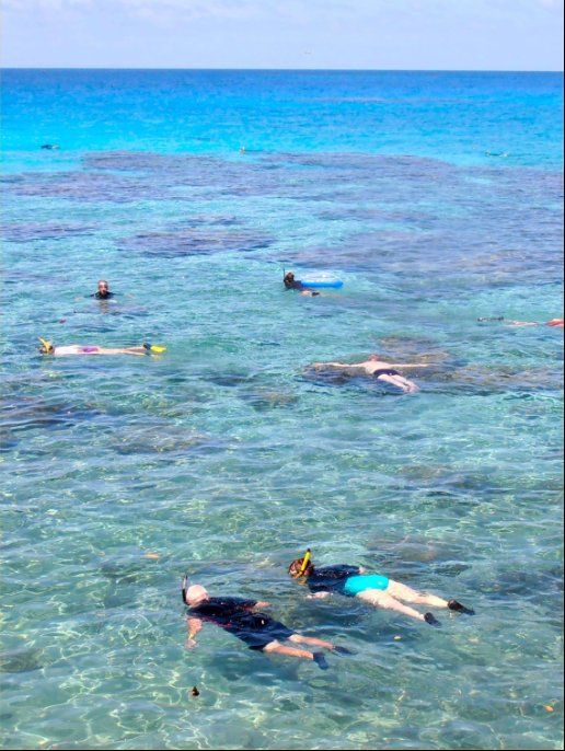 Lifou Snorkelling at Baie de Jinek Lifou Beach near We Lifou Grass - photo 13