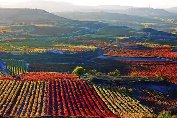 I LIZARRAGA GETTY IMAGES SPAIN PORTUGAL HIGHLIGHTS Spain - photo 8