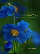 Blue Heaven Encounters with the Blue Poppy by Bill Terry Blue Heaven - photo 2