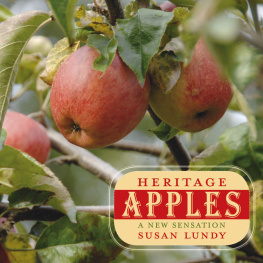 Lundy - Heritage apples : a new sensation