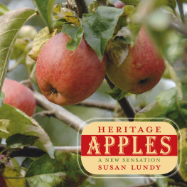 Lundy Heritage apples : a new sensation