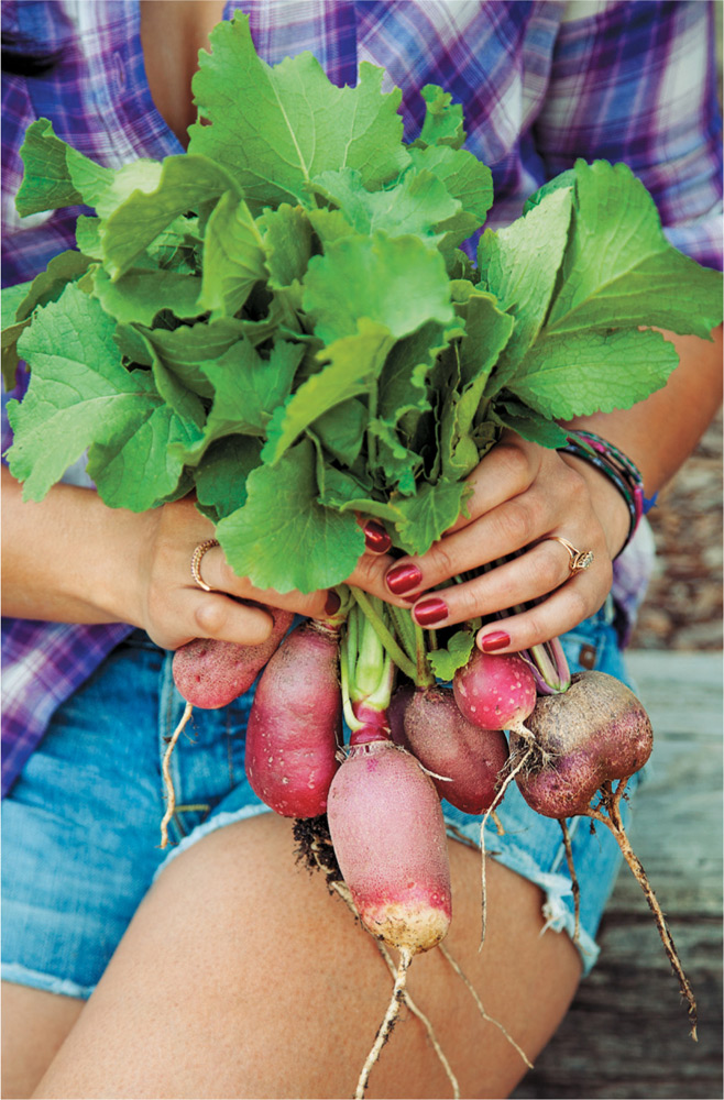 The previous owners of the house had started an organic vegetable garden right - photo 8