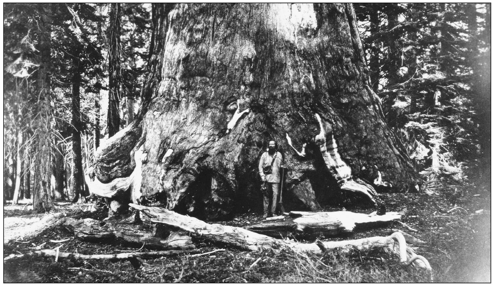 Galen Clark was an early explorer and homesteader in the Yosemite region In - photo 5