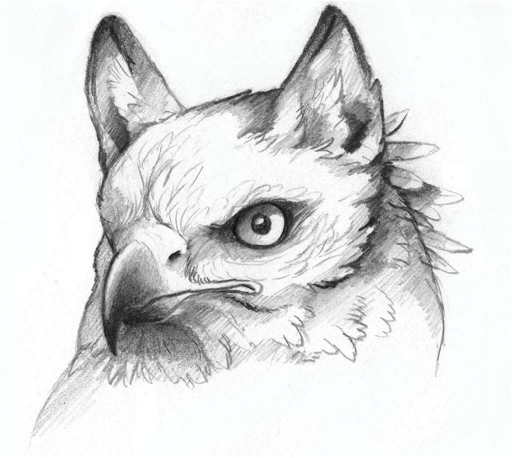 How to Use Different Pencils I used a variety of pencils on this gryphon head - photo 8