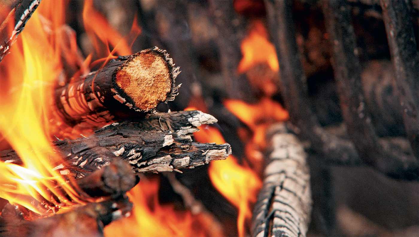 SEVEN FIRES Grilling the Argentine Way Francis Mallmann WITH PETER KAMINSKY - photo 1