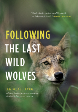 McAllister Ian Following the last wild wolves