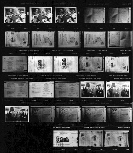 Figure 1 Contact sheet of photographs taken by co-author Peter McFarren of - photo 2