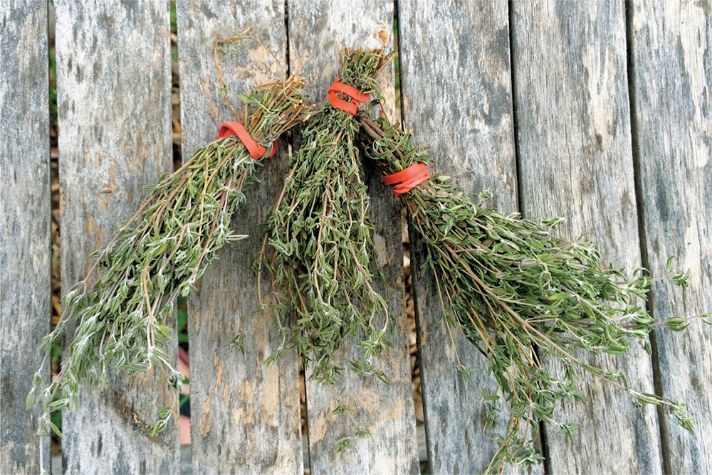 Three small bundles of thyme ready to give as gifts or for use in a - photo 6
