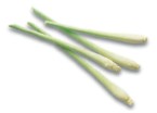 Lemongrass is a highly aromatic herb The tough outer layers of the stem should - photo 13