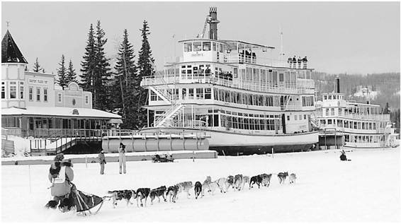 Debbies 2003 Iditarod start on the Chena River in Fairbanks Countdown 2003 - photo 5