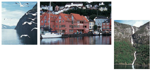 Toward Laerdal Sognefjorden Norway fish market Bergen Norway along the - photo 5