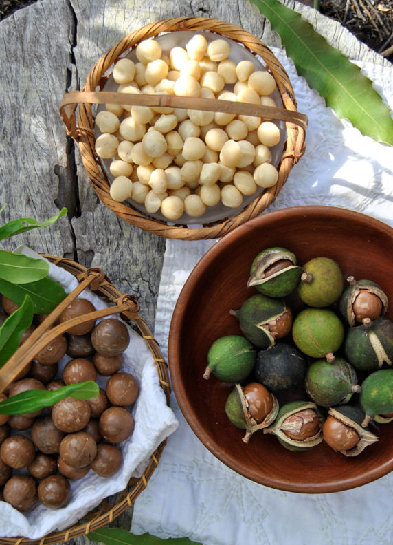 A little more about Macadamias A Brief History The macadamia tree is native - photo 3