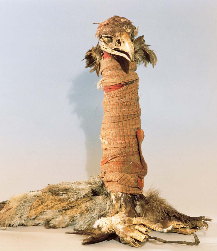 This Crow medicine bundle was made by wrapping an eagles body in cloth Straps - photo 6