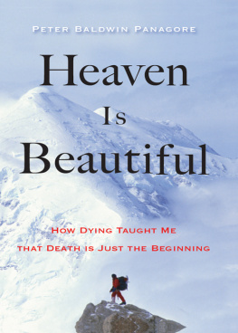 Panagore Heaven Is Beautiful : How Dying Taught Me That Death Is Just the Beginning