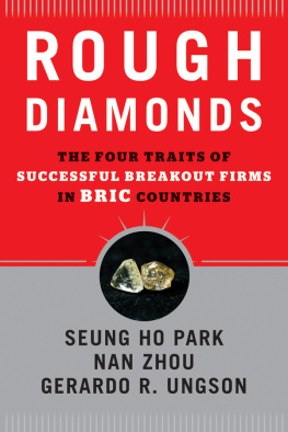 Park Seung Ho Rough diamonds : the four traits of successful breakout firms in BRIC countries