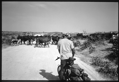 Traffic jam in northern Cameroon Rocinantes stable left in Quixotes - photo 15