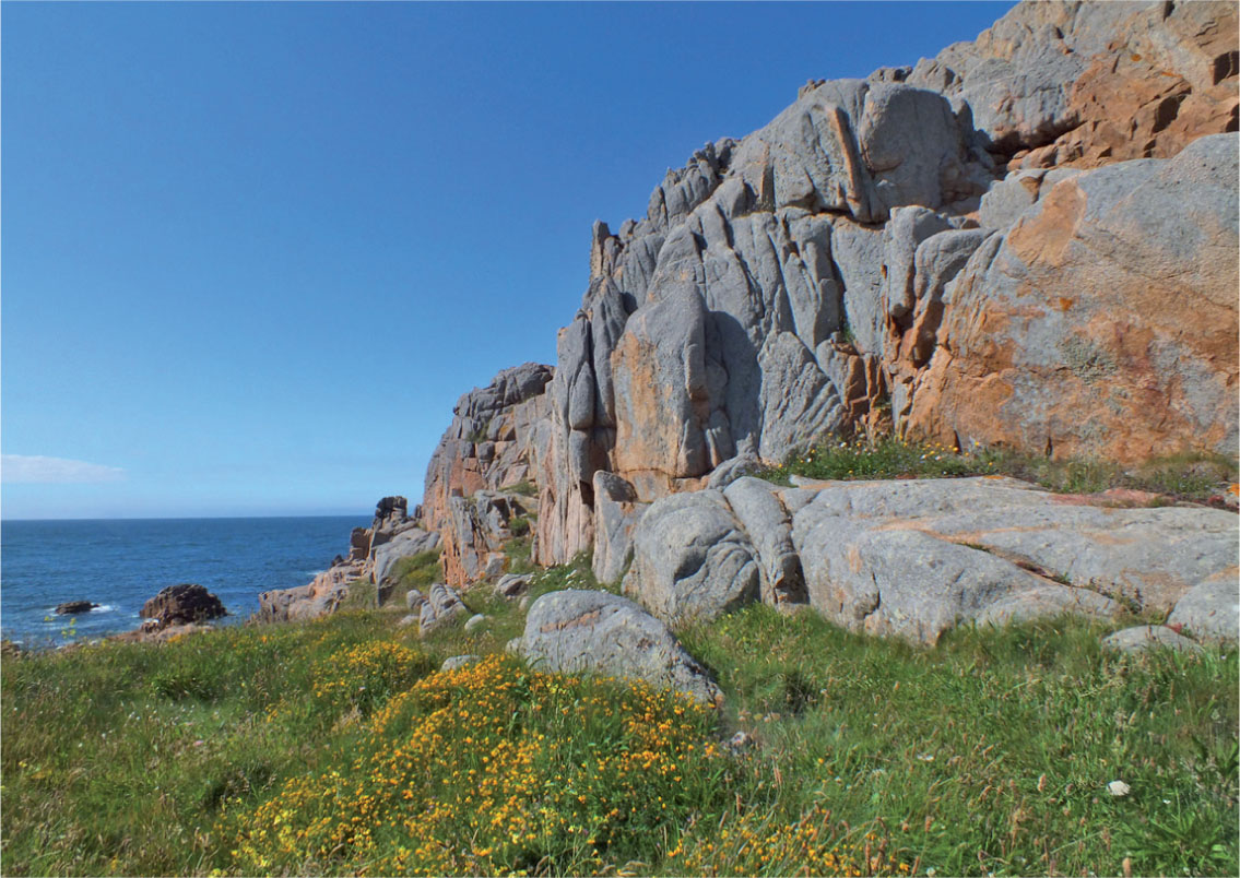 Granite exposure Guernsey Channel Islands showing characteristic jointed - photo 6