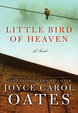 Joyce Carol Oates Little Bird Of Heaven