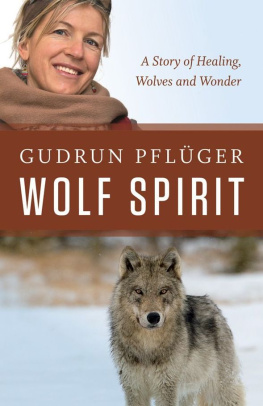 Gudrun Pflüger Wolf Spirit: A Story of Healing, Wolves and Wonder