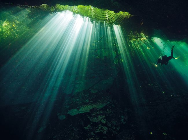 PAUL NICKLEN GETTY IMAGES The Maya considered them sacred gateways to the - photo 8