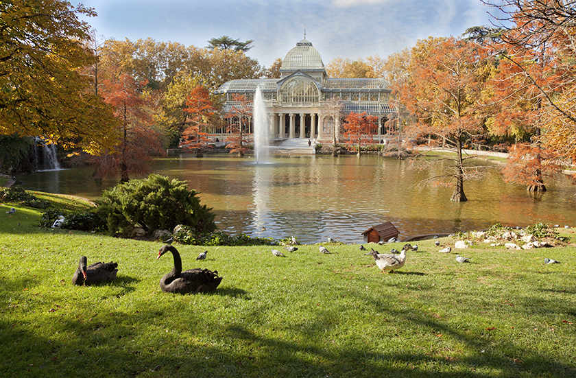 Parque del Buen Retiro Bravo1954Getty Images Madrid Top Sights Plaza Mayor - photo 8