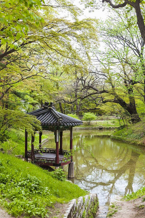 TOPIC PHOTO AGENCYCORBIS Seoul Top Sights Gyeongbokgung Admire the scale - photo 5