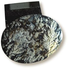 Polished cabochon with white plume agate on a black basinite backing Patti - photo 1