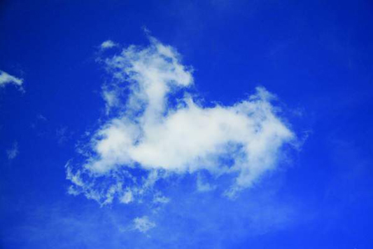 Over Alberta Canada by Janice Smith Member 10496 Cumulus fractus as it - photo 4