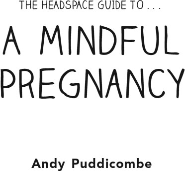 The Headspace guide to a mindful pregnancy - image 1