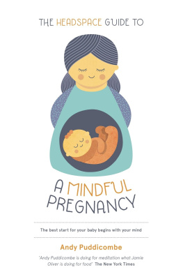 Puddicombe - The Headspace guide to ... a mindful pregnancy