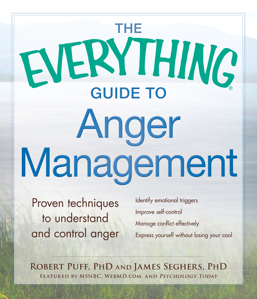 THE GUIDE TO ANGER MANAGEMENT Proven techniques to understand and control - photo 1