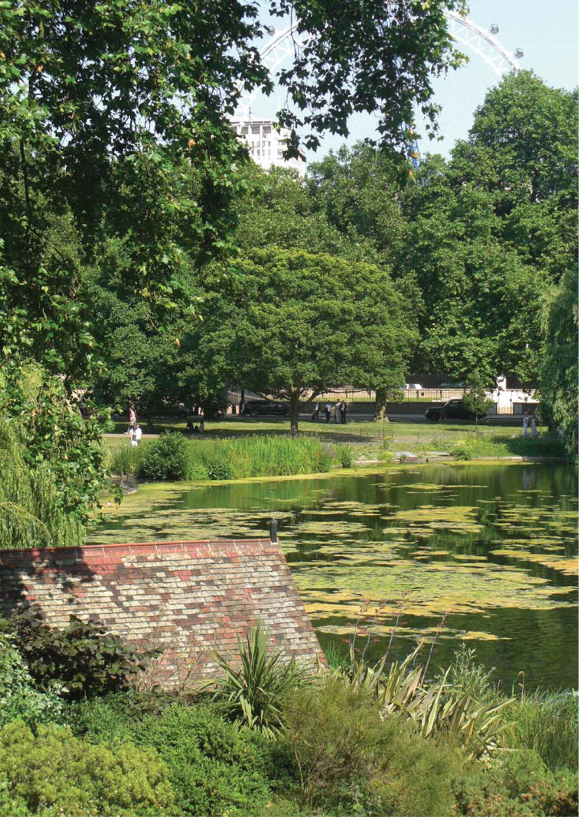 Looking towards the London Eye from St Jamess Park ST JAMESS PARK A PARK OF - photo 4