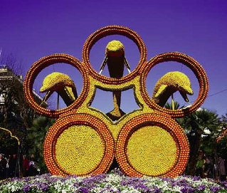 A dolphin sculpture constructed of lemons and oranges created for the annual - photo 5