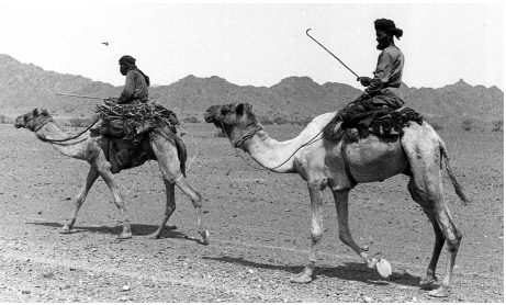 Bedu in the Wadi Mansah Authors collection Outside the gates to Nizwa - photo 16