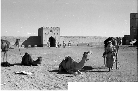 Adam gateway to the south Nicholas Knollys Bedu in the Wadi Mansah - photo 15