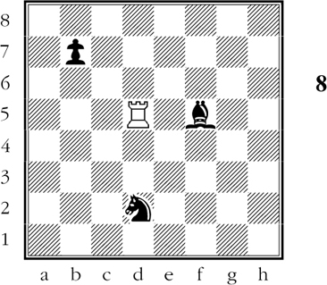 The rook can capture the bishop or knight but not the pawn The Bishop The - photo 9