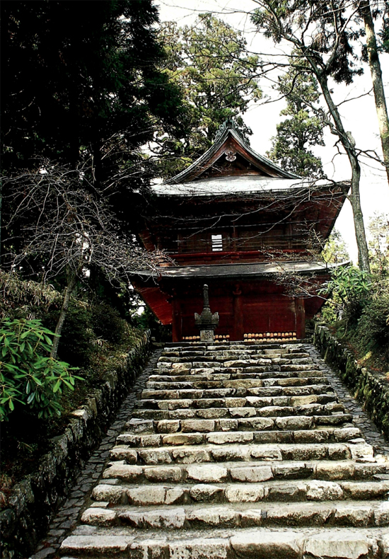 One day he came across a fallen tree at the very summit of the mountain From - photo 4