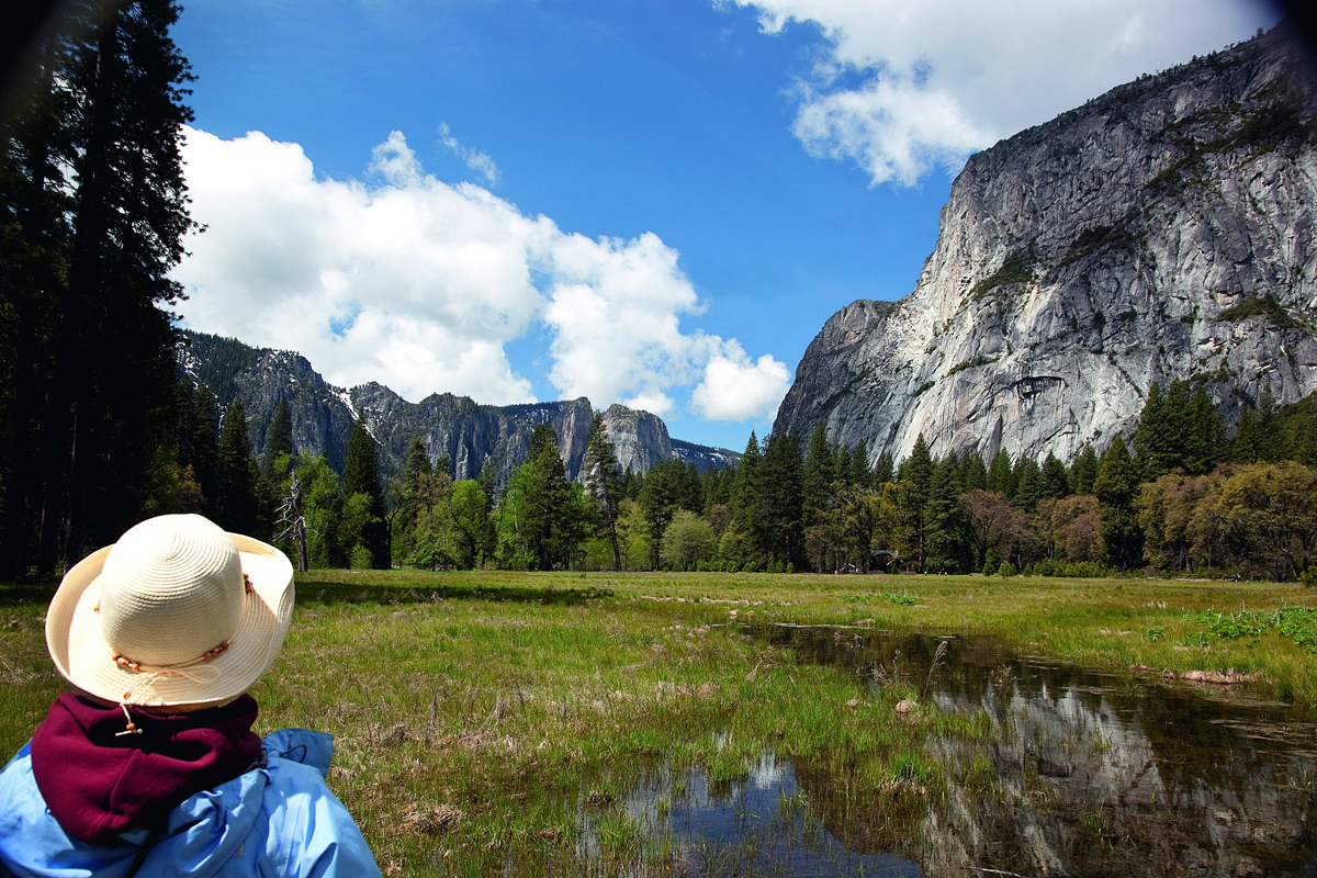 Yosemite National Park From the sheer granite cliffs of El Capitan to - photo 9