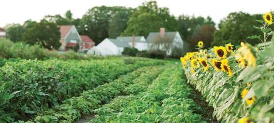 PREFACE by Joel Salatin Before supermarkets cattle feedlots chicken - photo 3