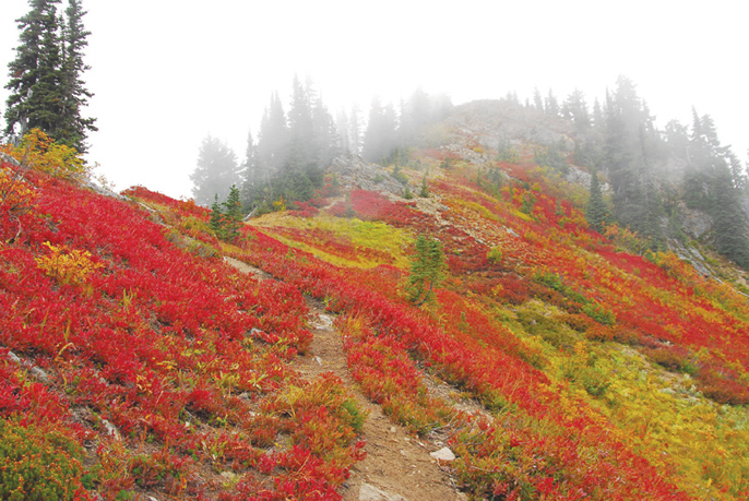 Spectacular autumn crimson slopes along Poet Ridge between Irving Pass and Poe - photo 3