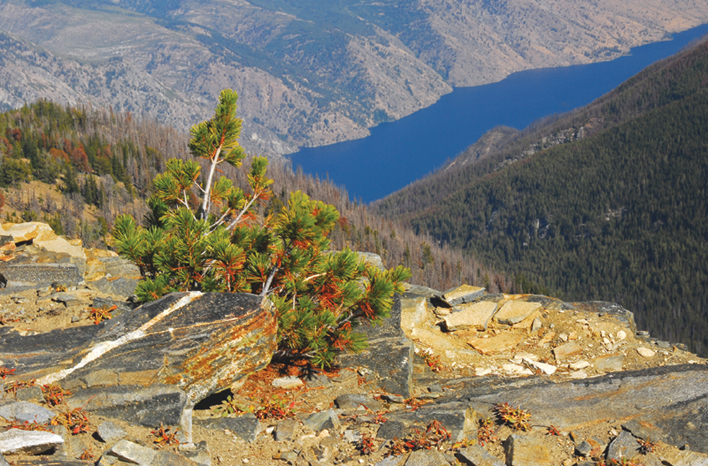 Deep blue Lake Chelan seen from the summit of Crow Hill Hikes at a Glance - photo 10