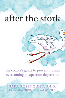 Sara Rosenquist PhD - After the Stork : the Couples Guide to Preventing and Overcoming Postpartum Depression