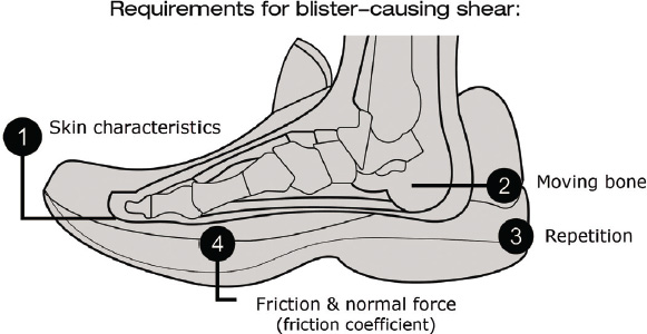 Figure 1 The four factors that combine to provide blister-causing shear - photo 5