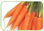 Carrots A root vegetable that is widely eaten across the world It is best - photo 8