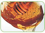 Honey A sweet fluid produced by honey bees Honey is a mixture of sugars and - photo 15