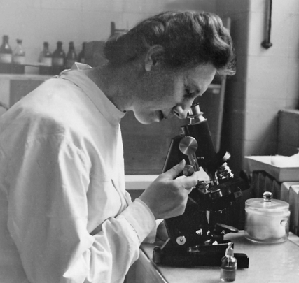 Jadzia at work in the dispensary Hchst October 1949 A Polish Doctor in the - photo 1