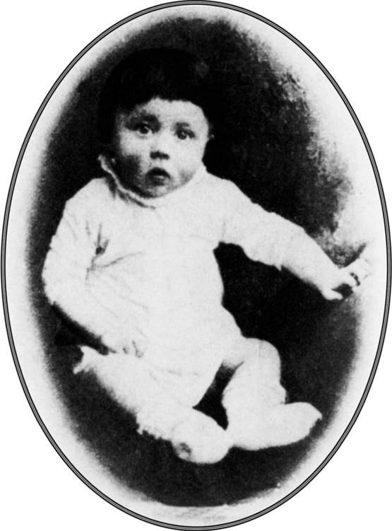 THE EARLY YEARS ADOLF HITLER was born at 630 pm on the evening of April 20 - photo 5