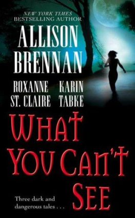 Allison Brennan - What You Cant See