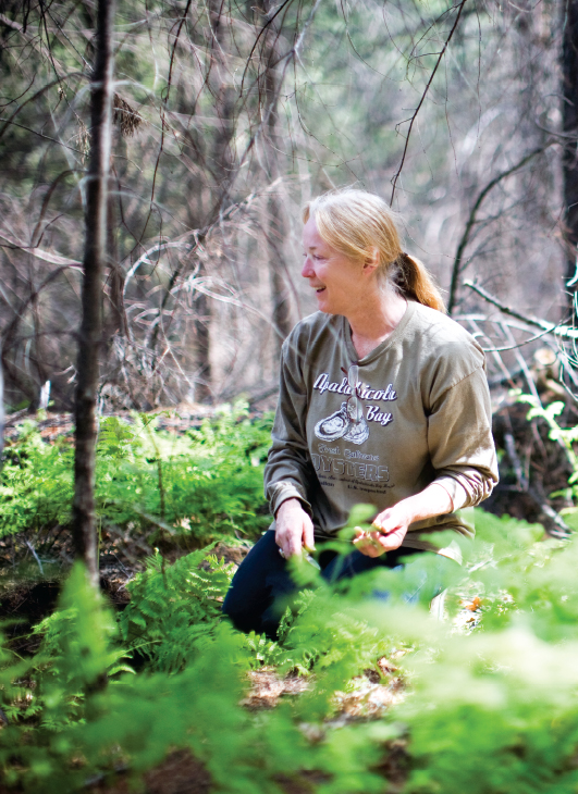 Introduction The call of wild foods was a gentle murmur when I first started - photo 5