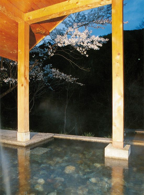 The japanese spa a guide to Japans finest Ryokan and Onsen - image 2